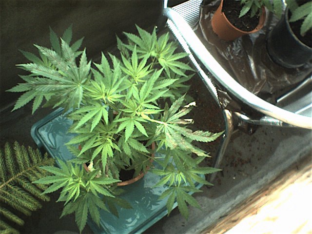 070623 0001.jpg