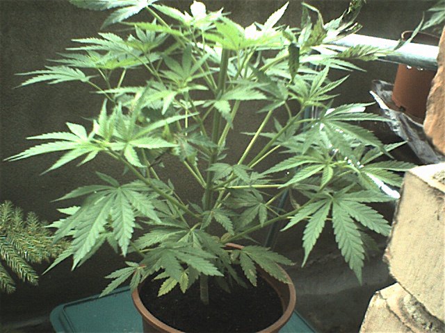 070623 0003.jpg