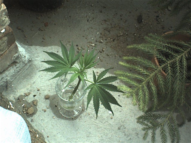 070623 0004.jpg