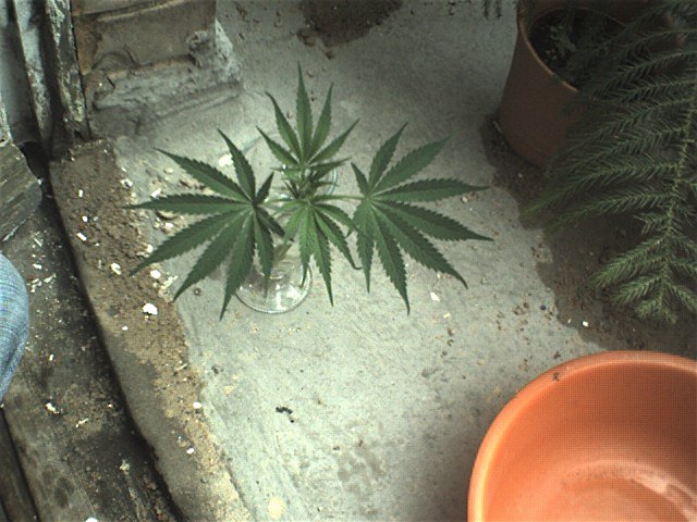 070625 0005.jpg
