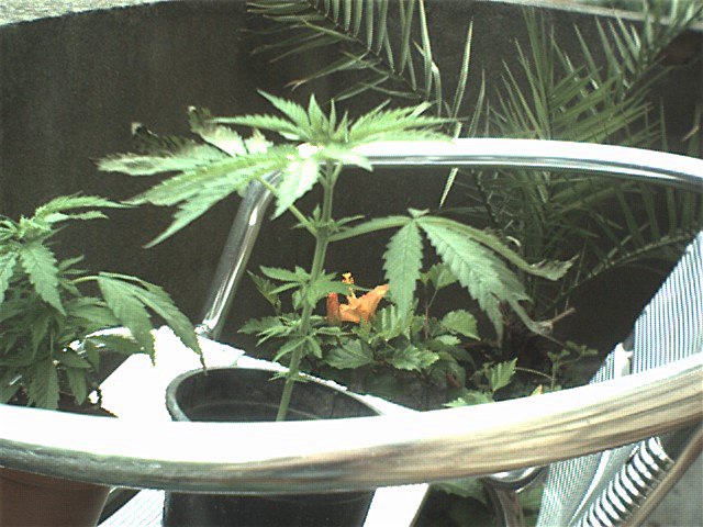 070625 0008.jpg